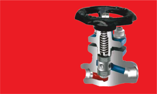 Válvula Globo Forjada 800#